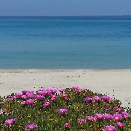 דירה Casa Azzurra