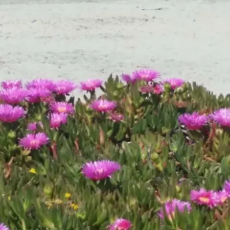 Casa Azzurra * San Foca