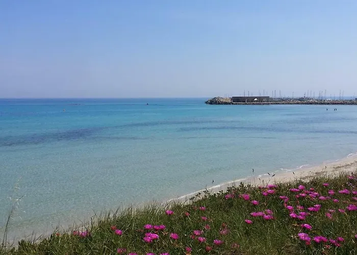 Daire Casa Azzurra *