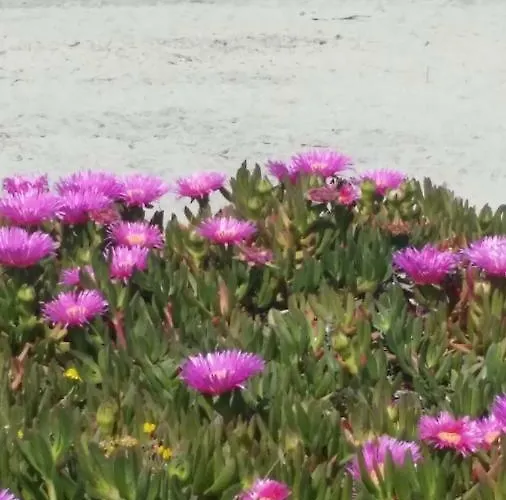 Casa Azzurra * San Foca